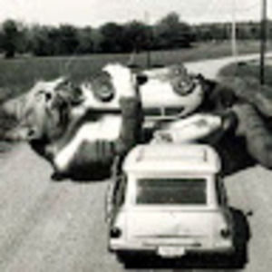 Meet your Posher, Alison